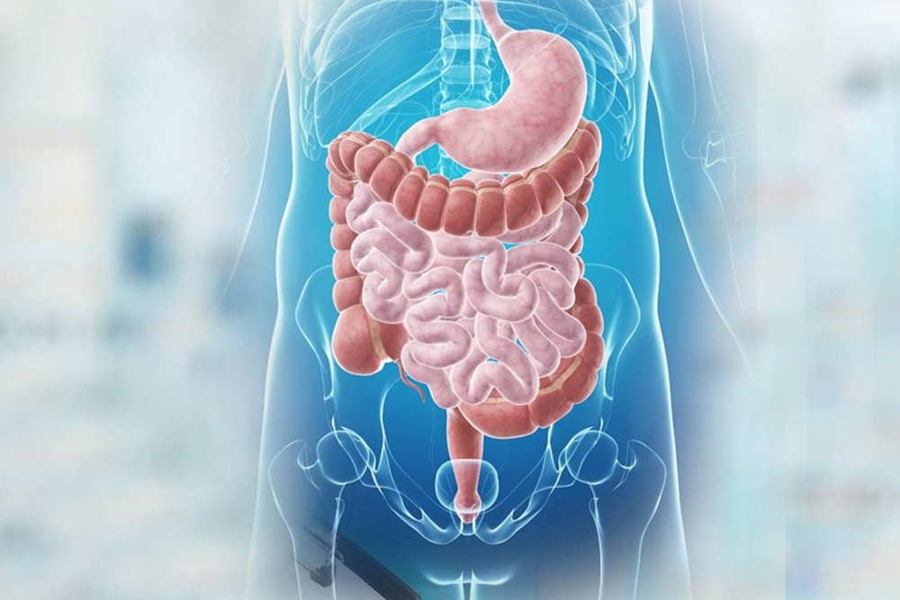 Gastroenterology