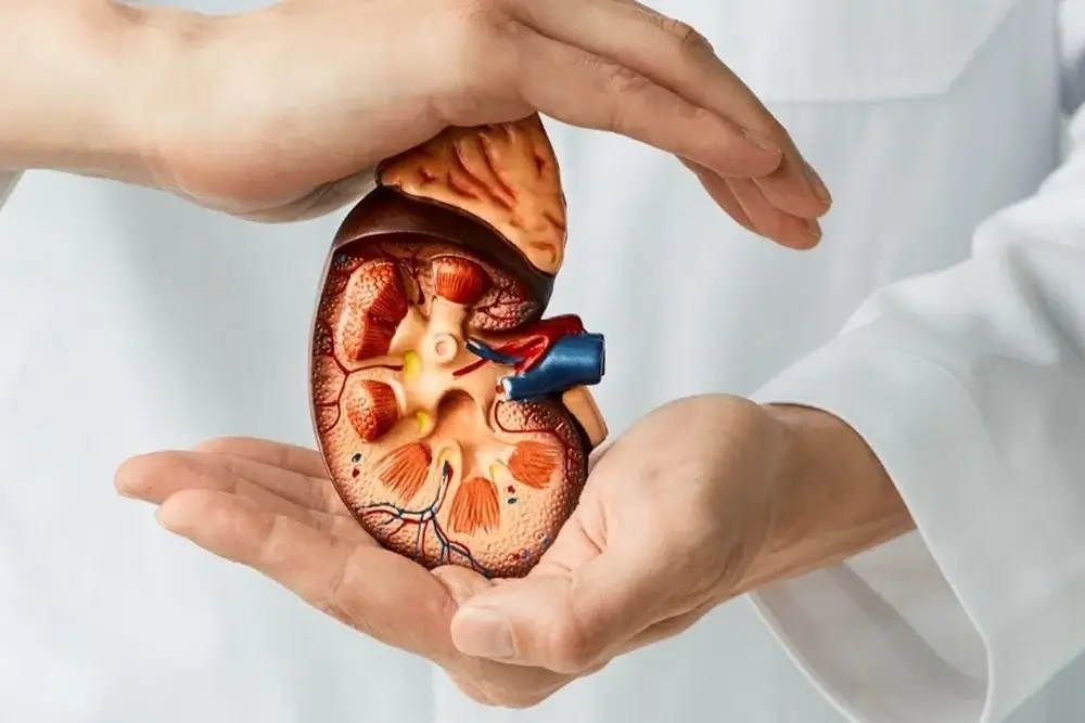 Nephrology