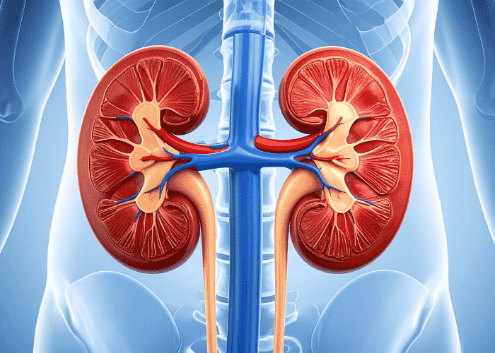 Comprehensive Nephrology Care for Better Kidney Health